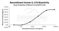 Human Recombinant IL-17A (from E. coli)