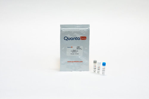 The Qscript Xlt One-Step Rt-Pcr Kit Is A Convenient And Highly Sensitive System