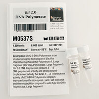 Bst 2.0 DNA Polymerase, New England Biolabs