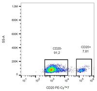 Anti-CD20 Mouse Monoclonal Antibody [clone: 2H7] (PE-Cyanine 7)
