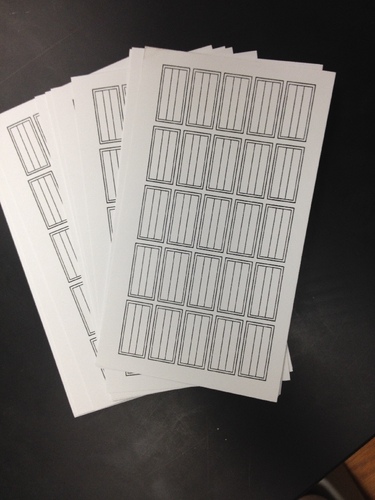 BLANK INSECT LABELS PK/1000