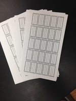Ward's® Blank Insect Label Cards
