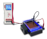 Ward's® InstaView Electrophoresis Systems
