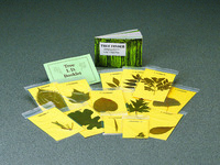 Tree Identification Kit