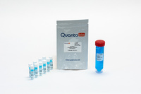 AccuStart™ Genotyping ToughMix®, Quantabio