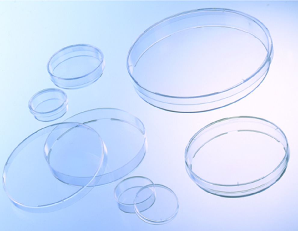CELLSTAR® Tissue Culture Dishes, Polystyrene, Sterile, Greiner BioOne