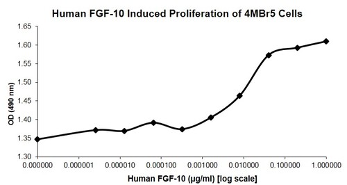 Human Recombinant FGF-10 (from <i>E. coli</i>)