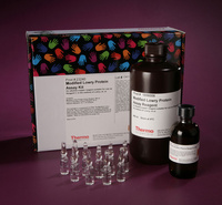Modified Lowry Protein Assay Kit