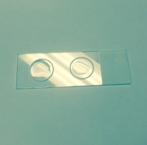 Microscope slide Super White 90 deg 2-Circle