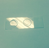 Two-Circle Microscope Slides for Fluorescent Microscopy, Springside Scientific