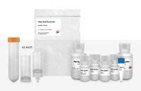 I-Blue Midi Plasmid Kits, IBI Scientific
