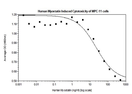 Human Recombinant Myostatin (from <i>E. coli</i>)