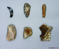 Bone Clones® Neanderthal Tools