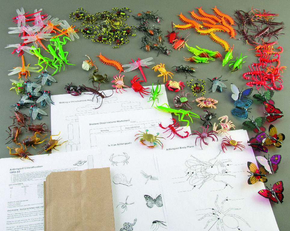 Arthropod Classification Kit Educational Classroom Kits and Activities