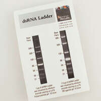 dsRNA Ladder, New England Biolabs