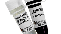 WarmStart LAMP Kit (DNA and RNA), New England Biolabs