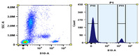 Anti-CD19 Mouse Monoclonal Antibody (PE/iFluor® 700) [clone: HIB19]