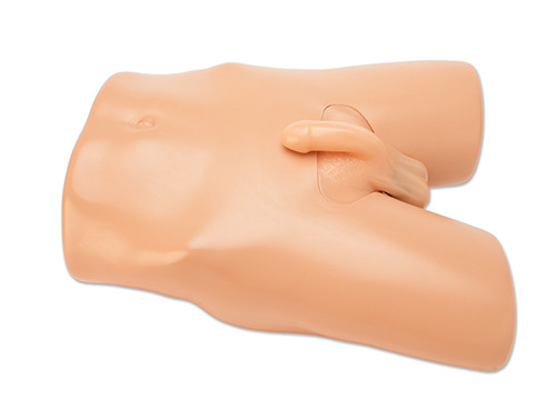 Scrotal Ultrasound Training Model Includes External Anatomy of Male Lower Pelvis/Penis/Scrotum with Fully Imageable Scrotum Using Real Time 2-D Ultrasound Imaging, Left/Right Testicles with Epididymal Head/Body/Tail, Scenarios with Intratesticular Masses, Epididymal Mass, Hydrocele/Soft Storage Case
