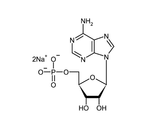 Adenosine 5'-monophosphate disodium salt (AMP disodium salt) ≥98% (by HPLC)