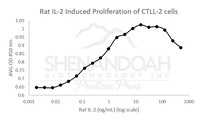 Rat Recombinant IL-2 (from E. coli)