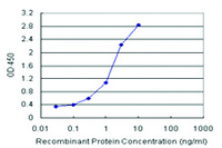 Anti-ANKRA2 Polyclonal Antibody Pair