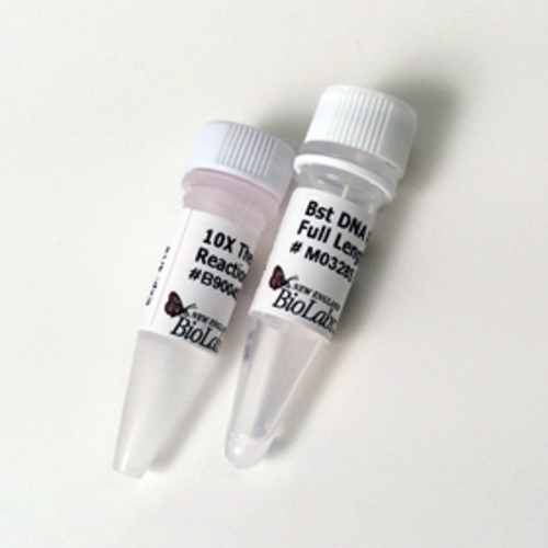 Bst DNA Polymerase, Full Length 500 units