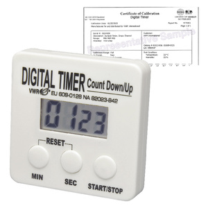 Electronic Digital Timer