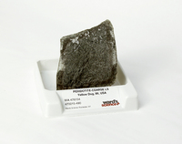 Ward's® Peridotite (Coarse-Grained)