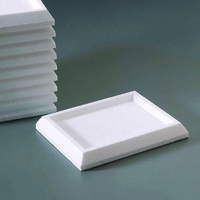 Disposable Trays, Foam Fabricators