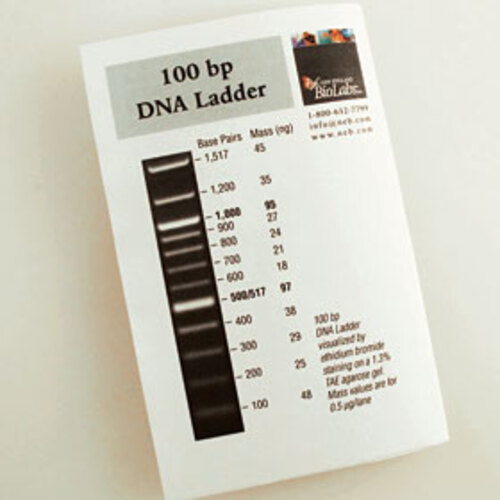 DNA Ladder 100 bp