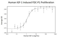 Human Recombinant IGF-I (from E. coli)