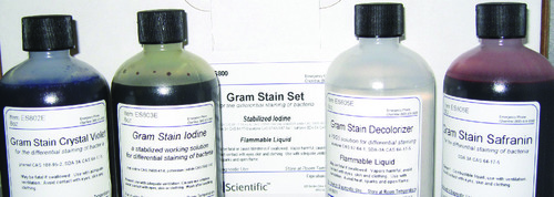 Gram color staining kit stabilized