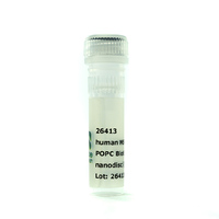 Nanodisc MSP1D1-His POPC Biotinyl PE