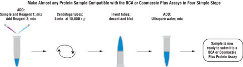 Compat-Able Coomassie Plus Protein Assay Kit