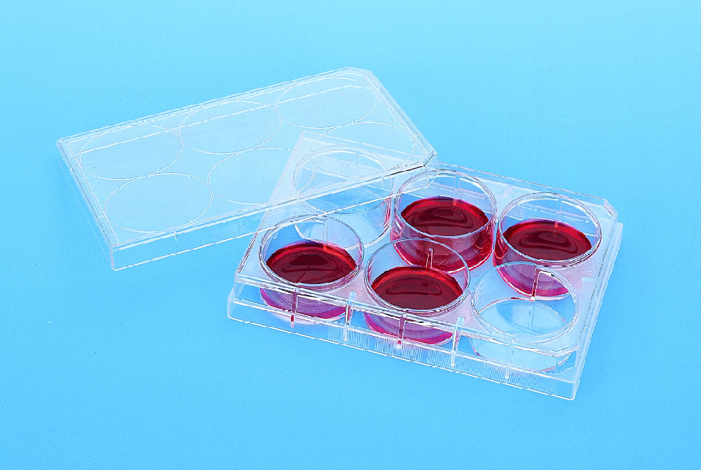 Falcon® Cell Culture Insert Companion Plates, Corning Insert Plates