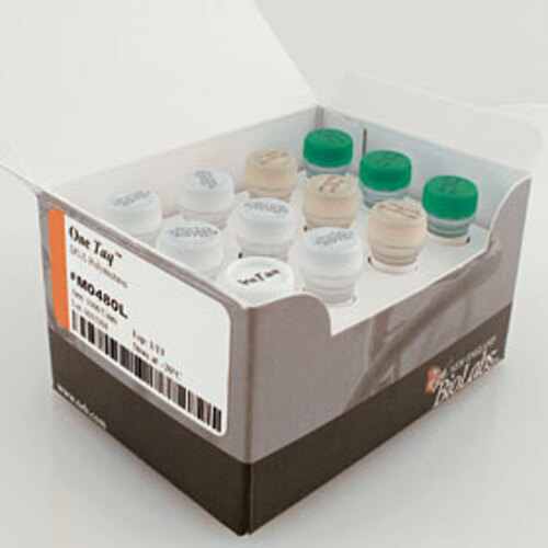 ONETAQ® DNA Polymerase, New England Biolabs