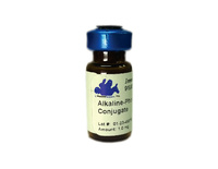 Anti-Ig kappa Goat Polyclonal Antibody (AP (Alkaline Phosphatase))