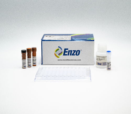 Neutrophil Elastase Colorimetric Drug Discovery Kit 1 Kit