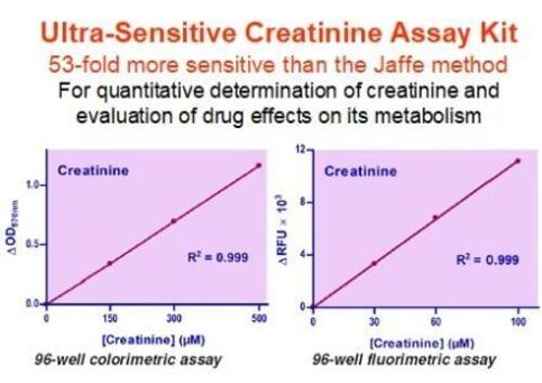 ASSAY KIT CREATININE