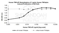 Human Recombinant TNF-Receptor-1 (from E. coli)