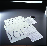 Magnetic Karyotyping Kit