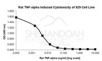 TNFα Rat Recombinant Protein,  Shenandoah Biotechnology