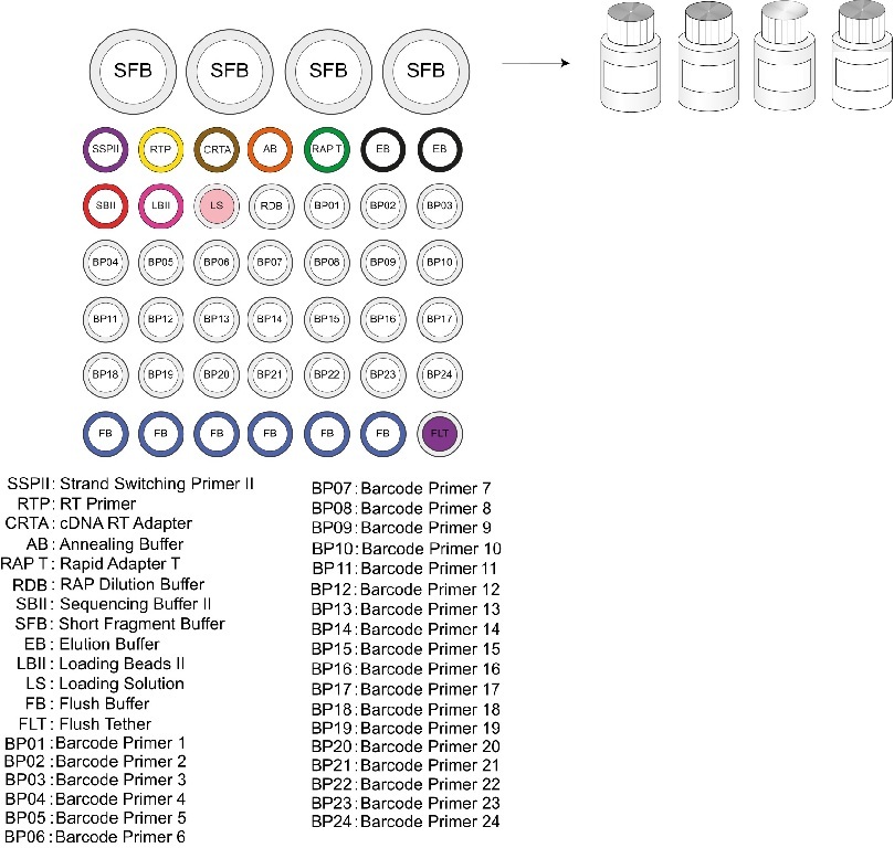 cDNAPCR Sequencing Kits, Oxford Nanopore Technologies Next
