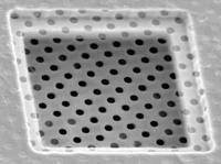 QUANTIFOIL® R 2 Holey Carbon Films on Grids, Electron Microscopy Sciences