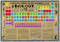 Periodic Table of the Elements for Biology