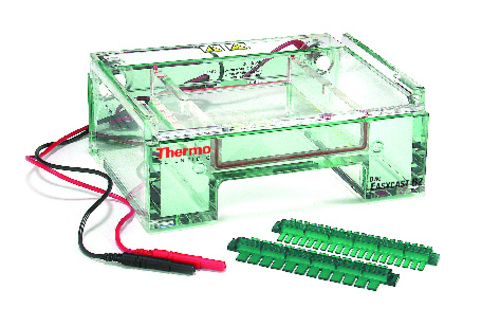 Owl™ EasyCast™ Mini Gel Electrophoresis System, Models B1 and B2, Thermo Scientific