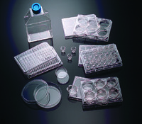 Corning® BioCoat® Poly-D-Lysine/Laminin German Glass Coverslip, 12 mm, Corning
