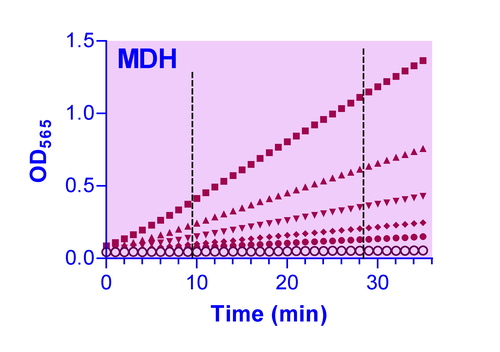 EnzyChrom* Malate Dehydrogenase Assay Kit 100tests