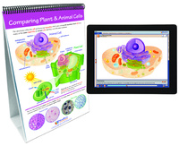 NewPath® Life Science Skill Builder Flip Charts with Multimedia Lessons