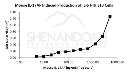 Mouse Recombinant IL-17AF (from <i>E. coli</i>)